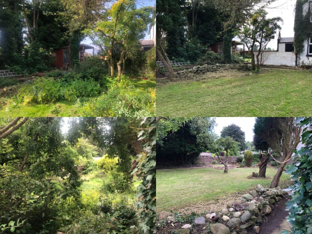 garden tidy example 2