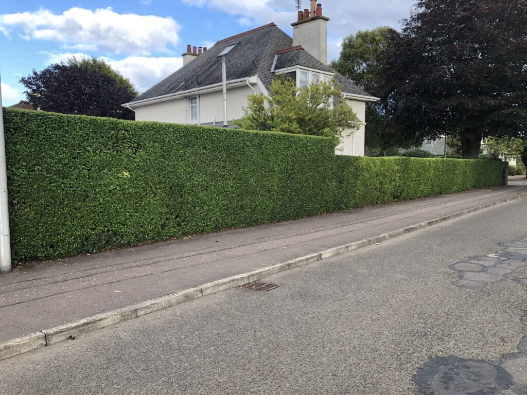 hedge trimming arbroath