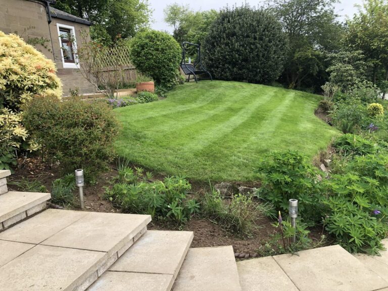 spring lawn treatment