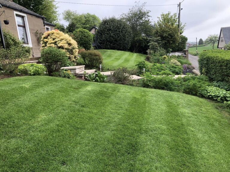 spring lawn maintenance