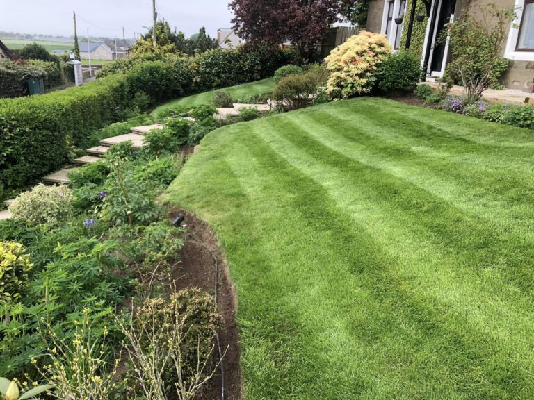 lawn stripes bary