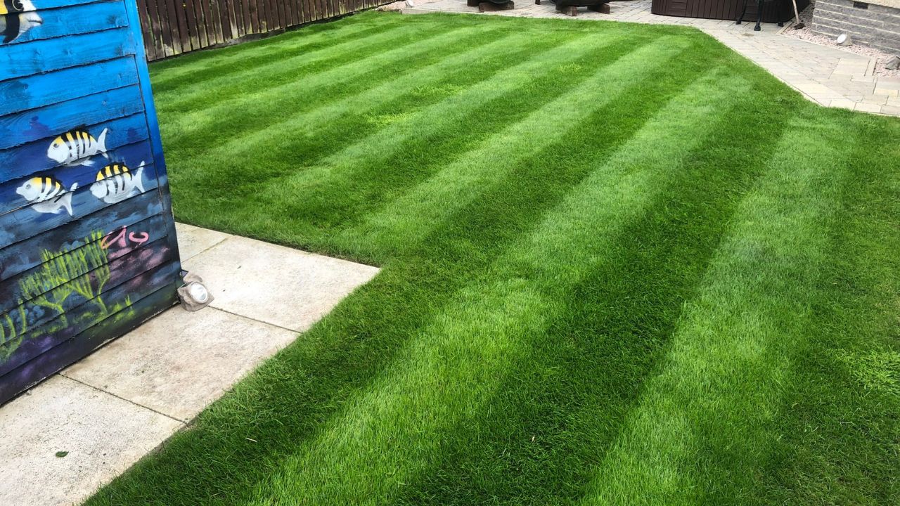 how to achieve perfect lawn stripes