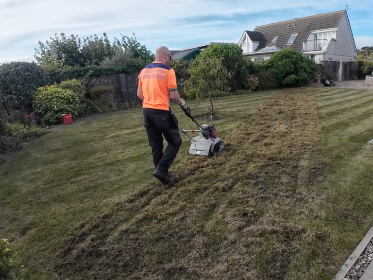 scarifying