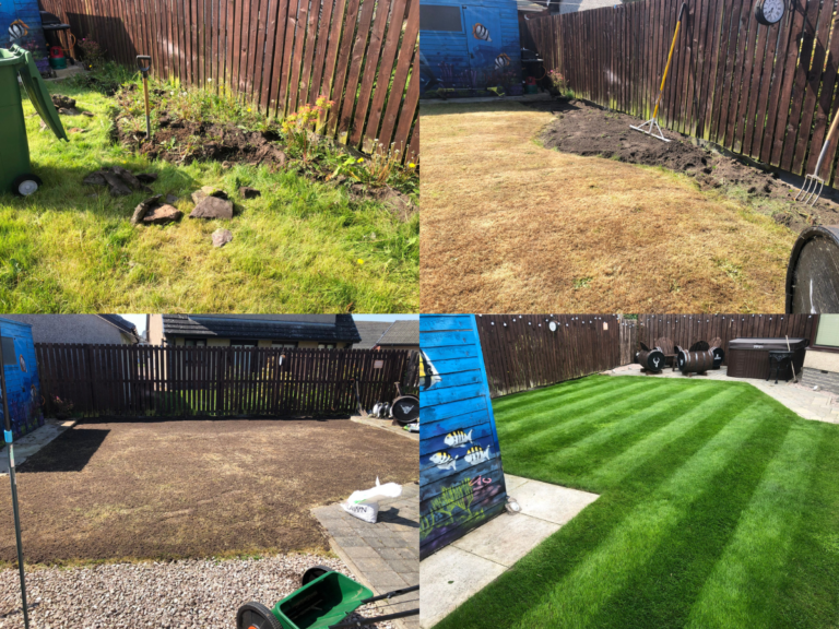 complete lawn renovation