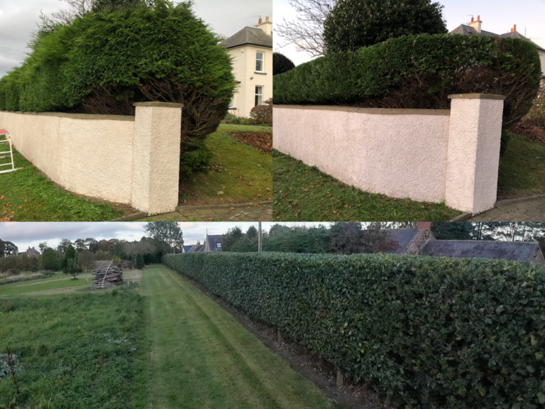 hedge reductions