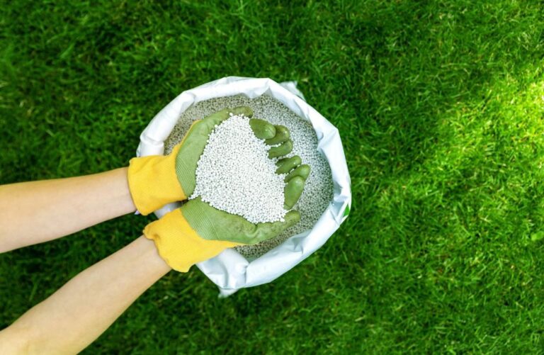 lawn fertilizer