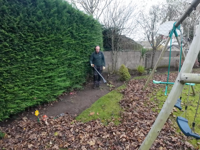 leaf clearance