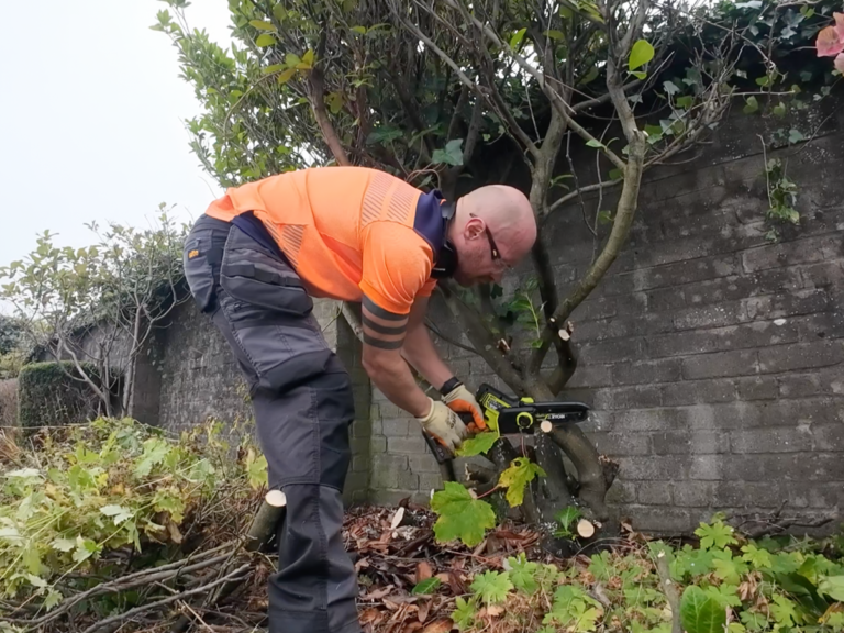 garden services arbroath