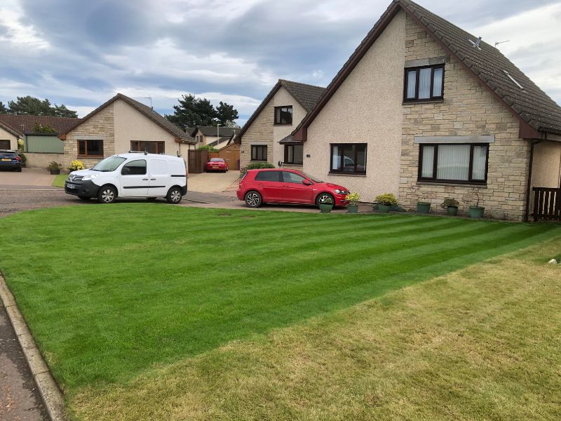 lush lawn against neighbouring lawn
