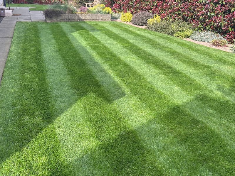 lush green striped lawn