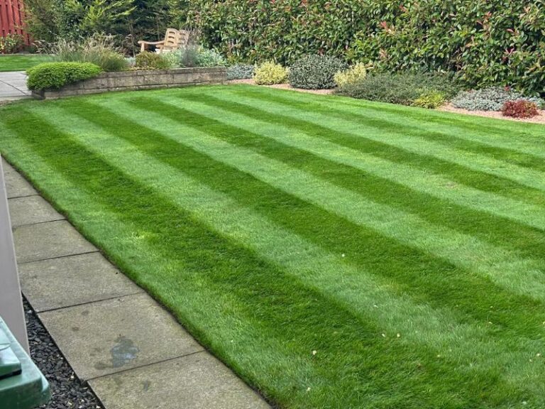 green striped lawn