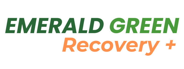 recovery plus